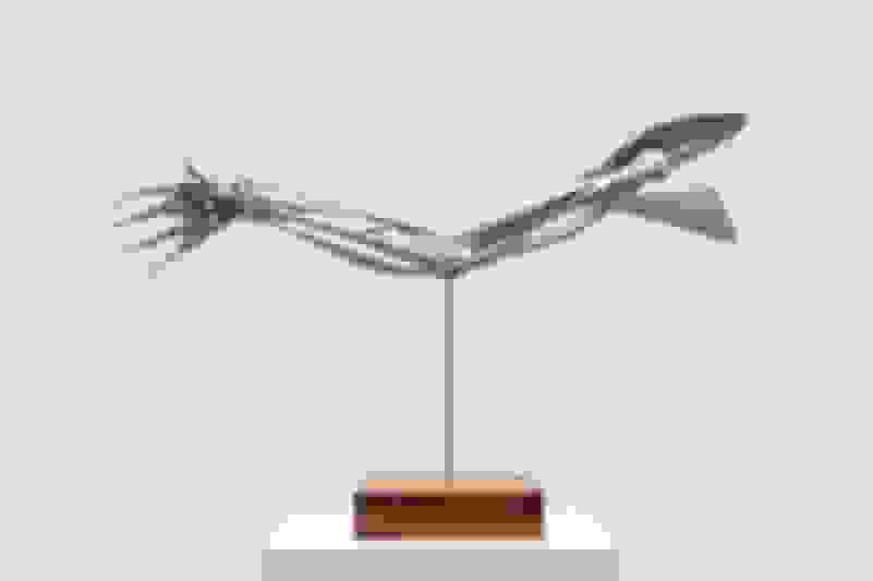 Xooang Choi The Hand 21 Available For Sale Artsy Xooang Choi The Hand 21 Available For Sale Artsy