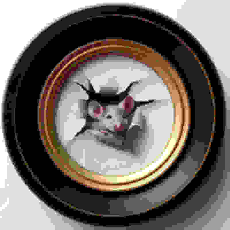 Marina Dieul Petite Souris 548 21 Artsy Marina Dieul Petite Souris 548 21 Artsy