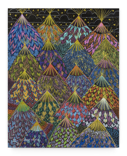 Jaider esbell galeria