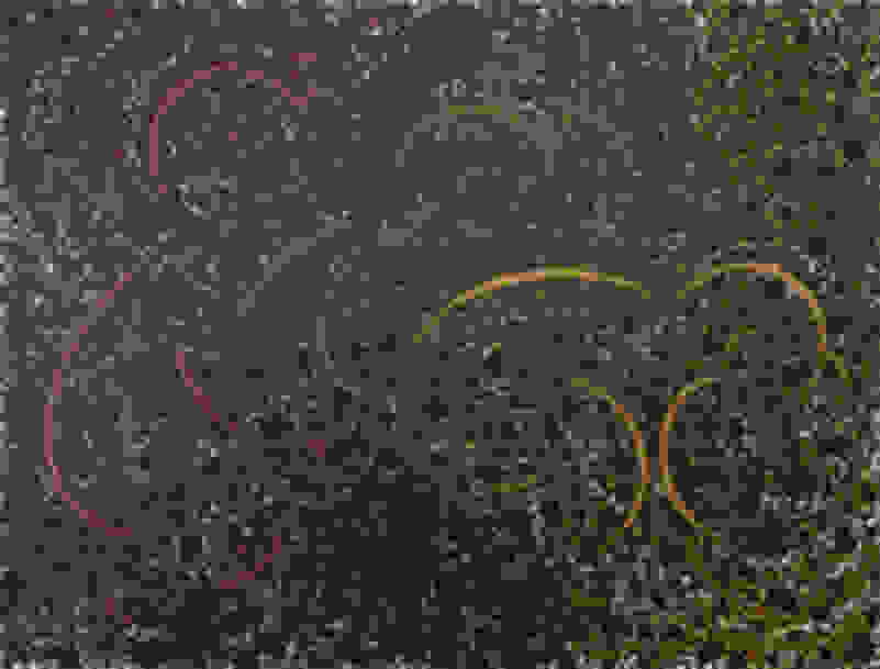General Idea Oh Baby Baby Baby A K A Untitled Oh Baby Oh Baby Oh Baby And Untitled 1 1984 Available For Sale Artsy General Idea Oh Baby Baby Baby A K A Untitled Oh Baby Oh Baby Oh Baby And Untitled 1 1984 Available For Sale Artsy