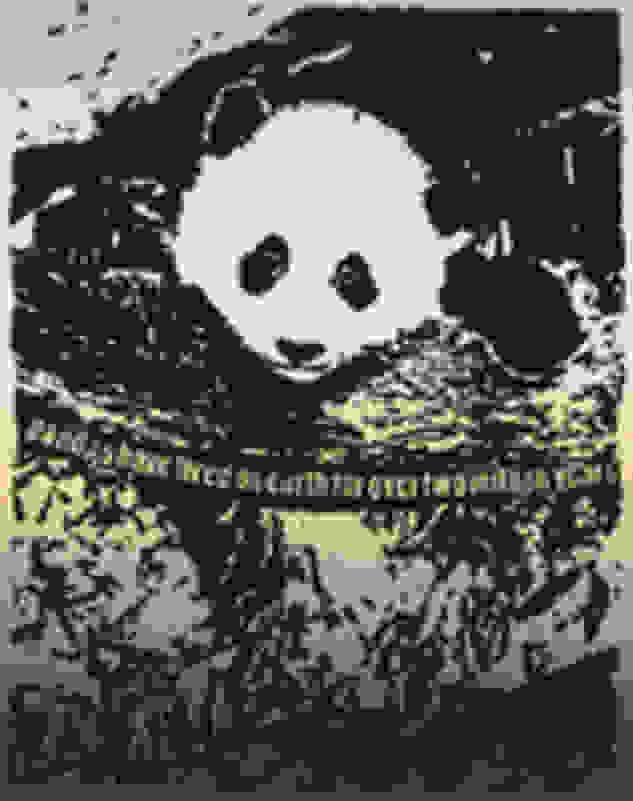 Rob Pruitt Giant Pandas Spend About 12 Hours A Day Eating Up To 15 Kilograms Of Bamboo Bamboo Is Rich In Protein As Well As Fibre Which Is Why They Poop Rob Pruitt Giant Pandas Spend About 12 Hours A Day Eating Up To 15 Kilograms Of Bamboo Bamboo Is Rich In Protein As Well As Fibre Which Is Why They Poop