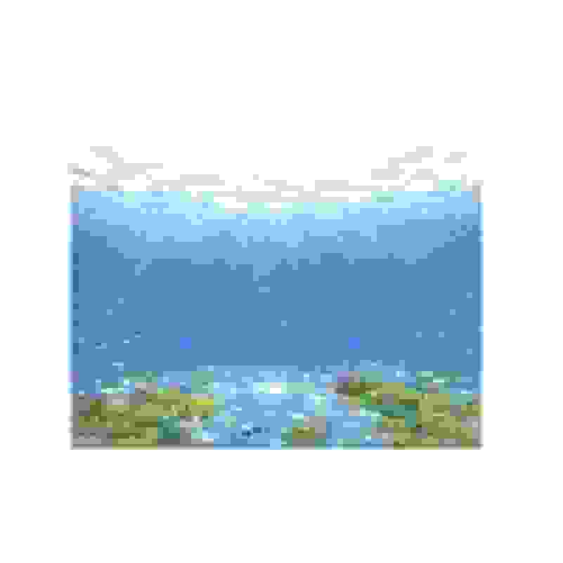 Taiyo Tono 冬乃 太陽 Coral Reefs In The Light 21 Artsy Taiyo Tono 冬乃 太陽 Coral Reefs In The Light 21 Artsy