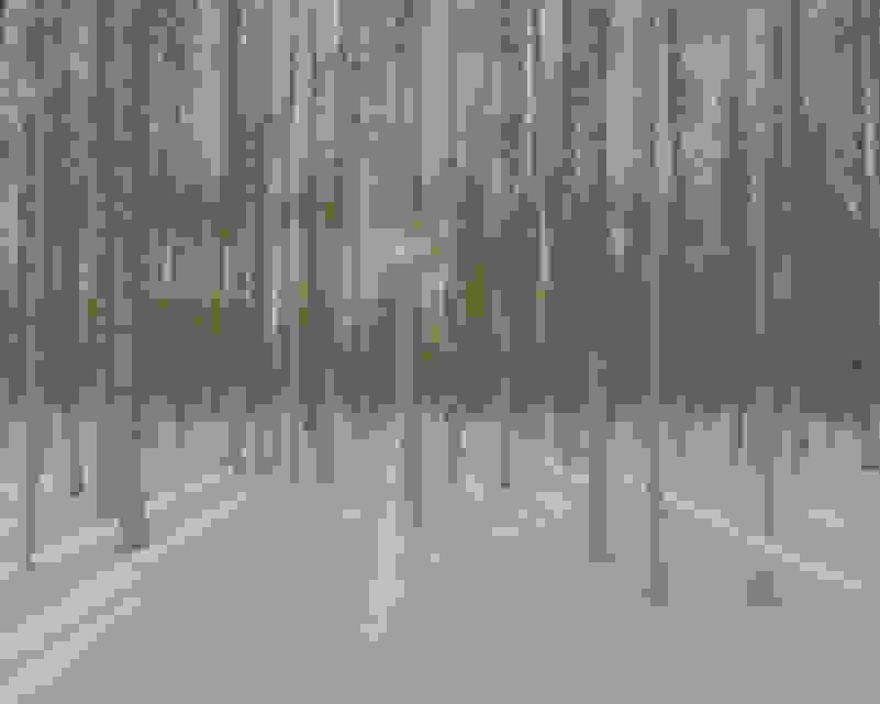 Davide Monteleone Samdarmokh 17 Available For Sale Artsy Davide Monteleone Samdarmokh 17 Available For Sale Artsy