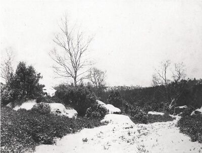 jacques henri lartigue chou valton a la plage la garoupe cap d antibe artsy