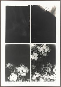 Bruno V Roels 65 Artworks Bio Shows On Artsy