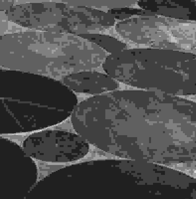 Emmet Gowin | Hay Field Complex near the Columbia River ...