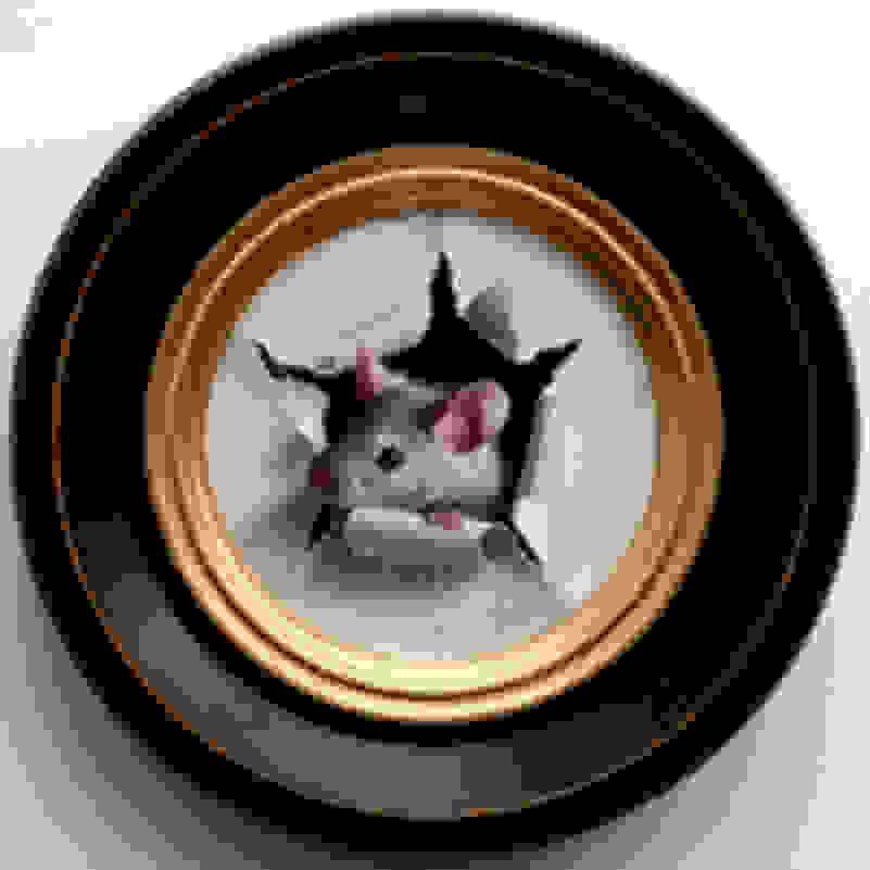 Marina Dieul Petite Souris 473 21 Artsy Marina Dieul Petite Souris 473 21 Artsy