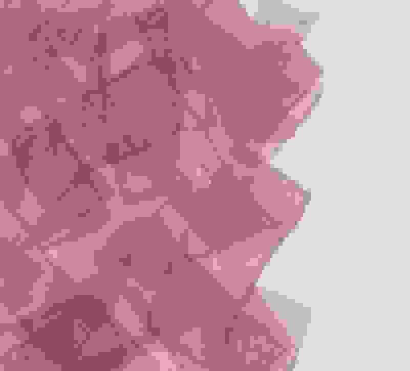 Sang Huoyao 桑火尧 Romantic Melody No 2 恋曲 2 13 Artsy Sang Huoyao 桑火尧 Romantic Melody No 2 恋曲 2 13 Artsy