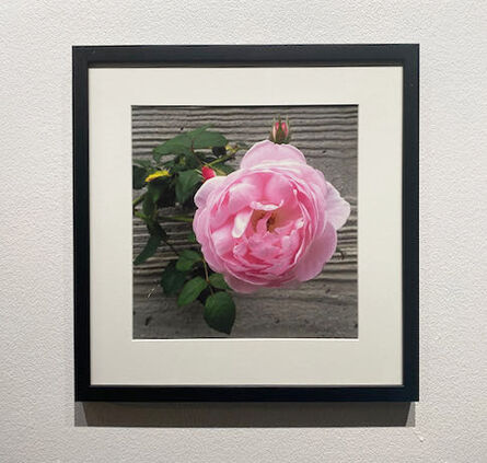 Flower Power | Artsy