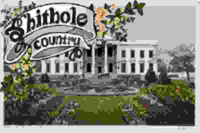 Molly Sullivan | Shithole Country - COVID-19 Satire Postcard (2020) | Available for Sale | Artsy