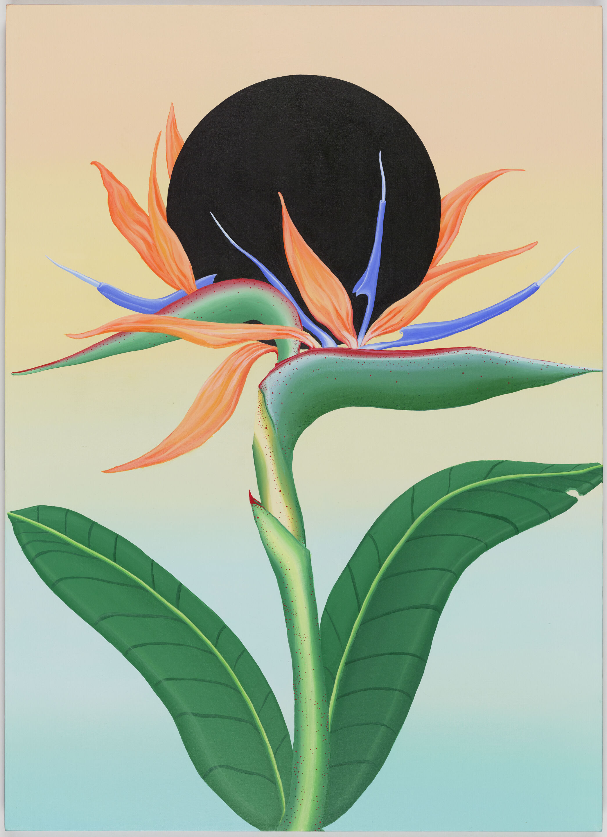 Flowers Are Eternal Inspirations in Art 19 Se-jong-Cho-artwork-flowers
