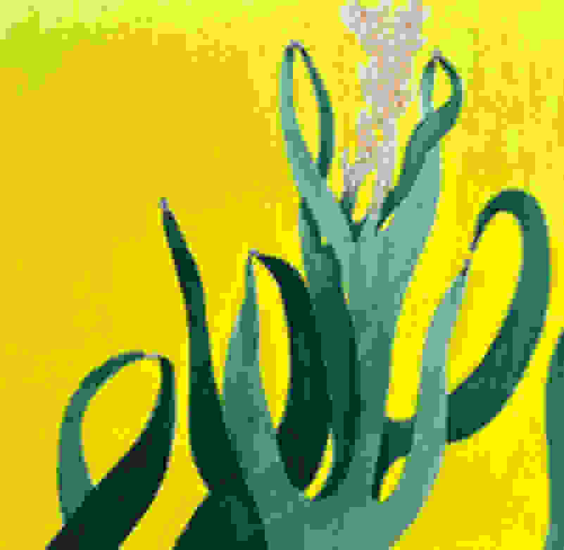 Emily Ritz | Cuddlers (2022) | Available for Sale | Artsy