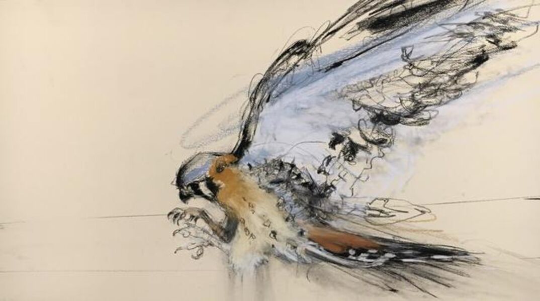 April Coppini Rabbit April Coppini - 2 Artworks, Bio & Shows on Artsy
