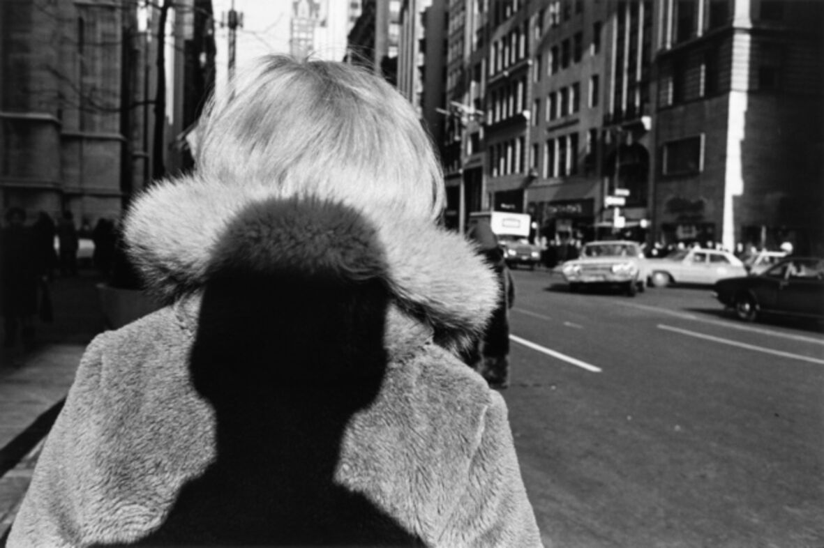 Lee Friedlander - 260 Artworks, Bio & Shows on Artsy