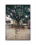 Gordon Parks 201 Artworks Bio Shows On Artsy