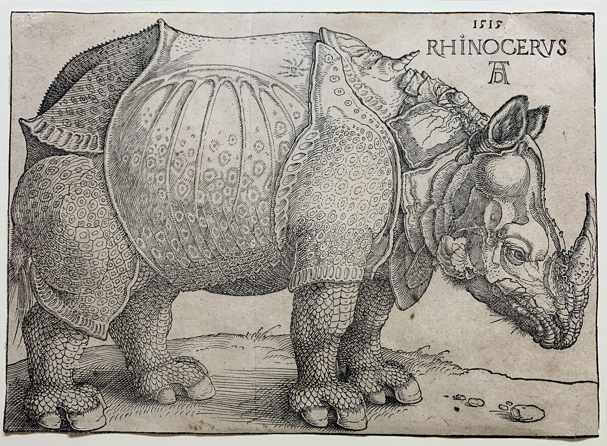 Albrecht Dürer’s The Rhinoceros - For Sale on Artsy