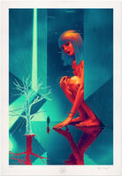 Fuses for sale Fuses for sale