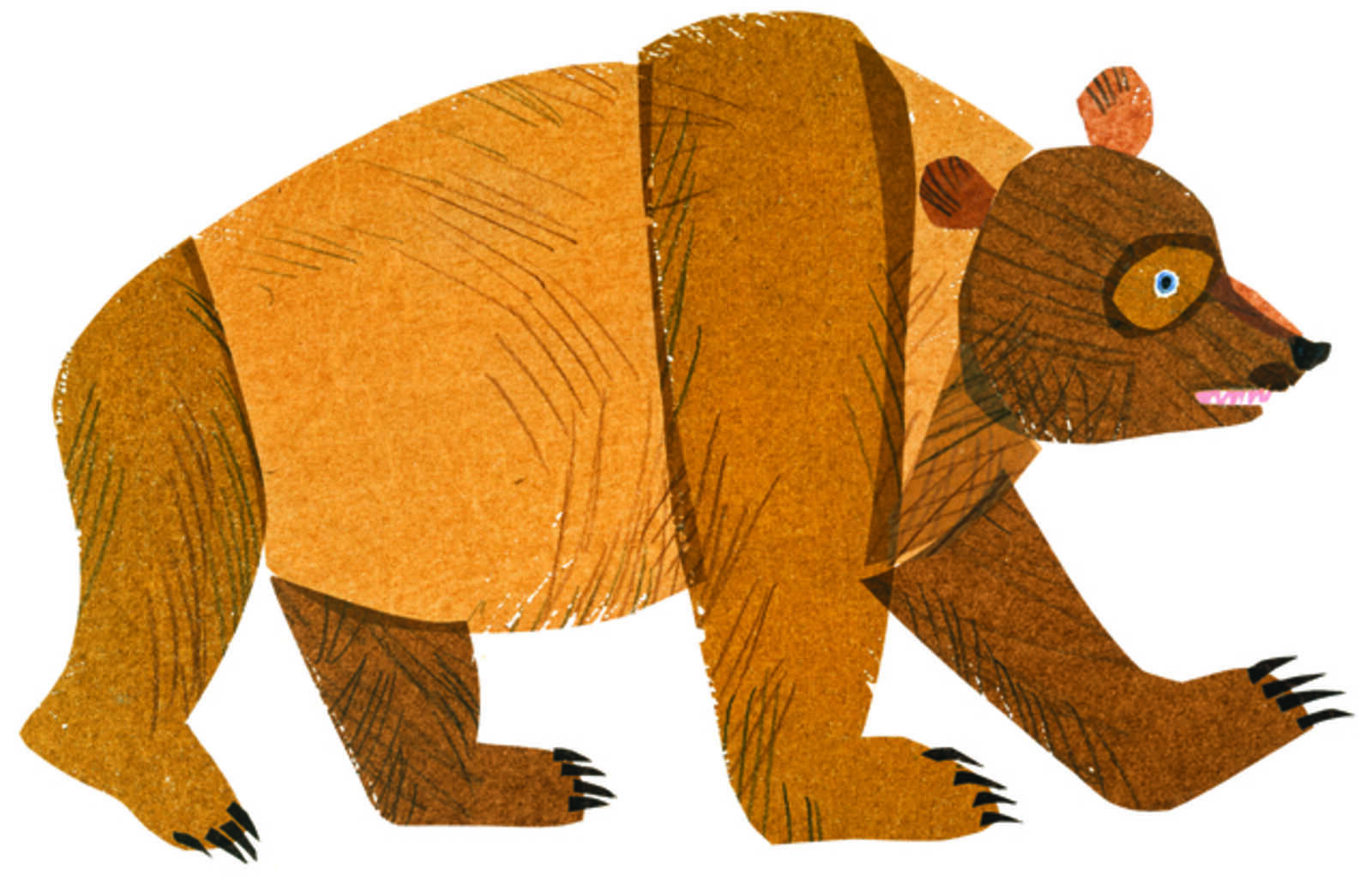 Eric Carle Illustration from “Brown Bear, Brown Bear, What Do You See
