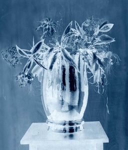 Thomas Ruff - 259 Artworks, Bio & Shows on Artsy