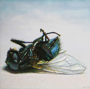 Beau White 13 Artworks Bio Shows On Artsy