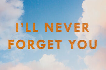 Really you forget me. Невер форгет. Never forget you. I'll never forget you. I will never forget you.