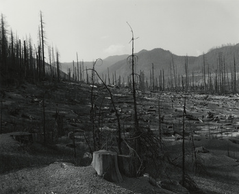 Image result for Frank Gohlke: