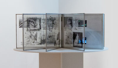 Carolee Schneemann Interior Scroll 1975 Available For
