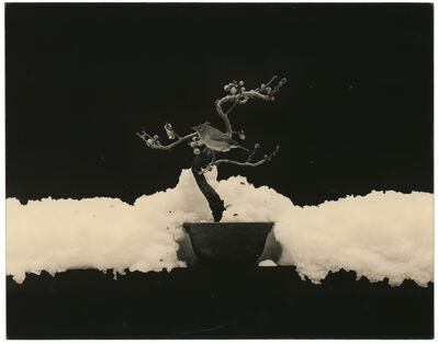 Yamamoto Masao Untitled 44 From The Series A Box Of Ku 01 Available For Sale Artsy