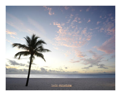 Anne Valverde Tomato Bridge 2014 Available For Sale Artsy