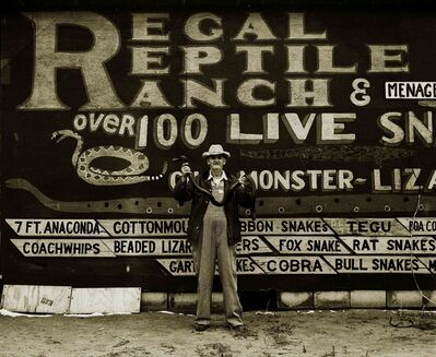 Steve Fitch 165 Artworks Bio Amp Shows On Artsy