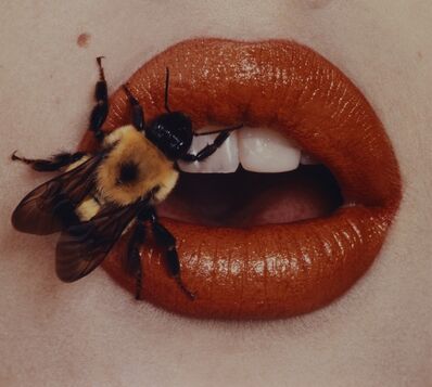 andres serrano the morgue burnt to