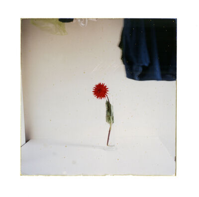 Yamamoto Masao Untitled 44 From The Series A Box Of Ku 01 Available For Sale Artsy