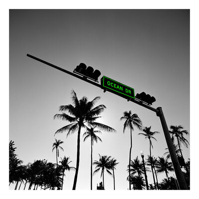 Anne Valverde Tomato Bridge 2014 Available For Sale Artsy