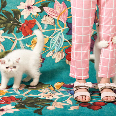 Résultat de recherche d'images pour "carolina mizrahi"