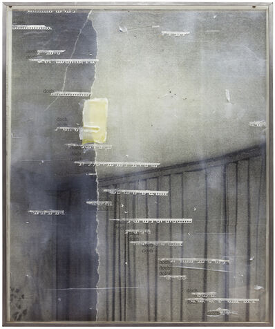 Vogel Wand Wandgemalde Durch James Bullough Dallas Texas