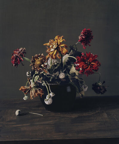 Sharon Core Sharon Core - 75 Artworks, Bio & Shows on Artsy
