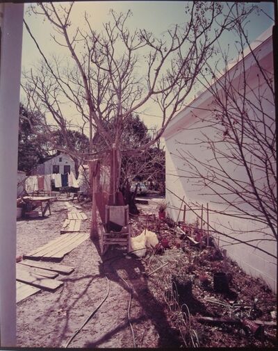 Stephen Shore 110 Artworks Bio Amp Shows On Artsy