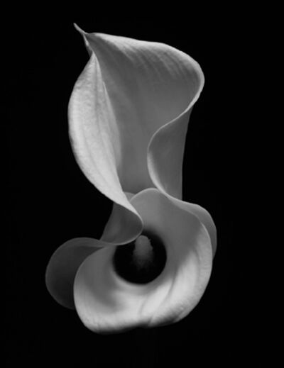 Yamamoto Masao Untitled 44 From The Series A Box Of Ku 01 Available For Sale Artsy