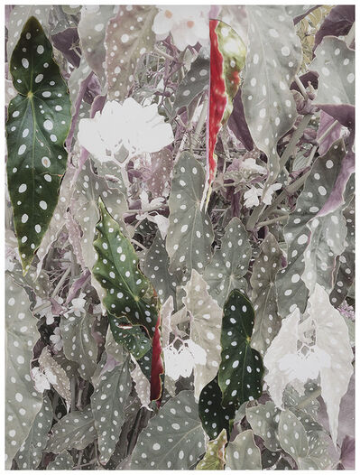 Yamamoto Masao Untitled 44 From The Series A Box Of Ku 01 Available For Sale Artsy