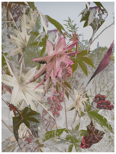 Yamamoto Masao Untitled 44 From The Series A Box Of Ku 01 Available For Sale Artsy