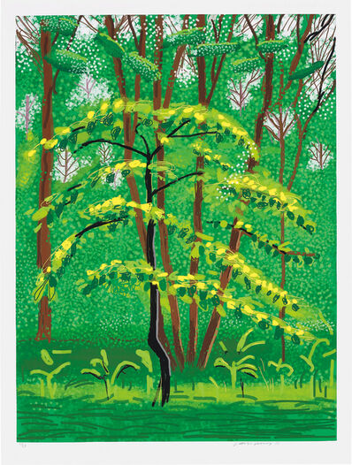 David Hockney Ipad Drawings For Sale On Artsy