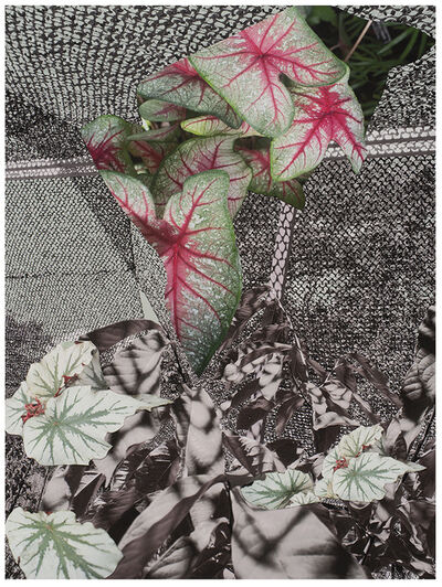 Yamamoto Masao Untitled 44 From The Series A Box Of Ku 01 Available For Sale Artsy