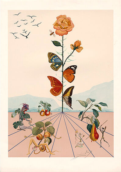 Salvador Dali Butterflies For Sale On Artsy