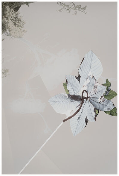 Yamamoto Masao Untitled 44 From The Series A Box Of Ku 2001 Available For Sale Artsy