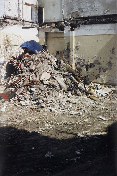 Artur Barrio 34 Artworks, Bio & Shows on Artsy