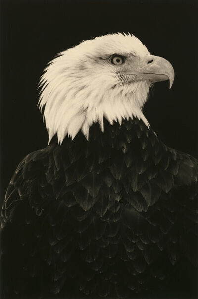 Yamamoto Masao Untitled 44 From The Series A Box Of Ku 01 Available For Sale Artsy