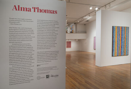 Alma Thomas - 36 Artworks, Bio & Shows on Artsy