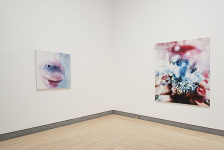 Marilyn Minter - 83 Artworks, Bio & Shows on Artsy
