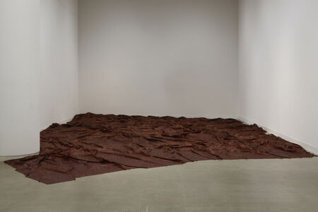 Doris Salcedo 30 Artworks Bio Shows On Artsy doris-salcedo-30-artworks-bio-shows-on-artsy