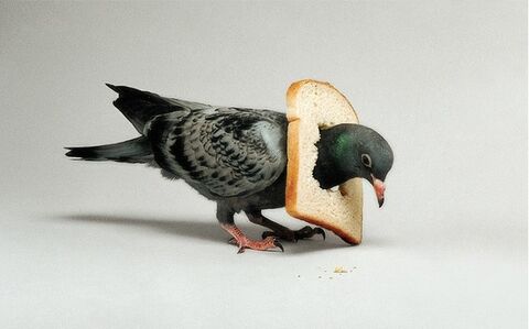 Nancy Fouts 16 Artworks Bio Shows On Artsy nancy-fouts-16-artworks-bio-shows-on-artsy